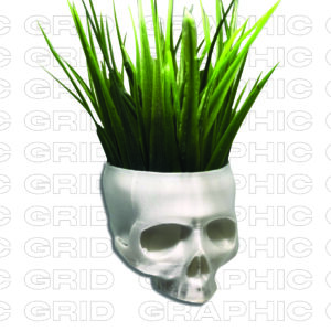 Skull Planter